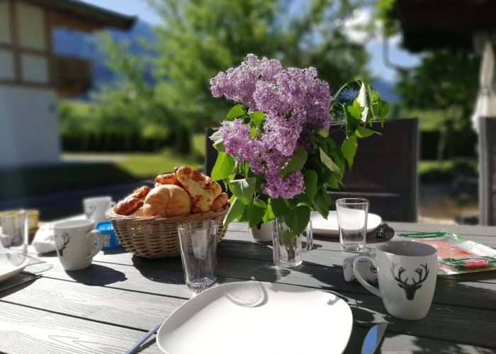 Terrasse Apartment Hermine